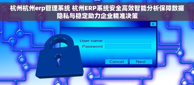 杭州杭州erp管理系统 杭州ERP系统安全高效智能分析保障数据隐私与稳定助力企业精准决策