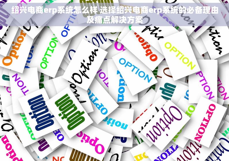 绍兴电商erp系统怎么样 选择绍兴电商erp系统的必备理由及痛点解决方案