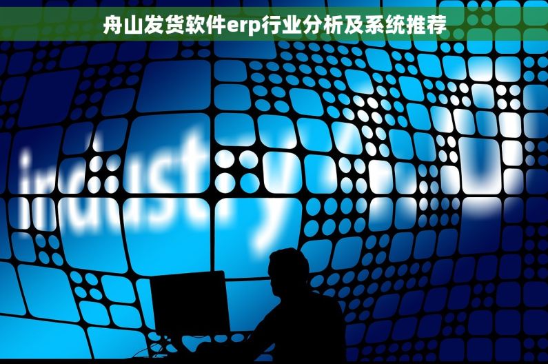 舟山发货软件erp行业分析及系统推荐