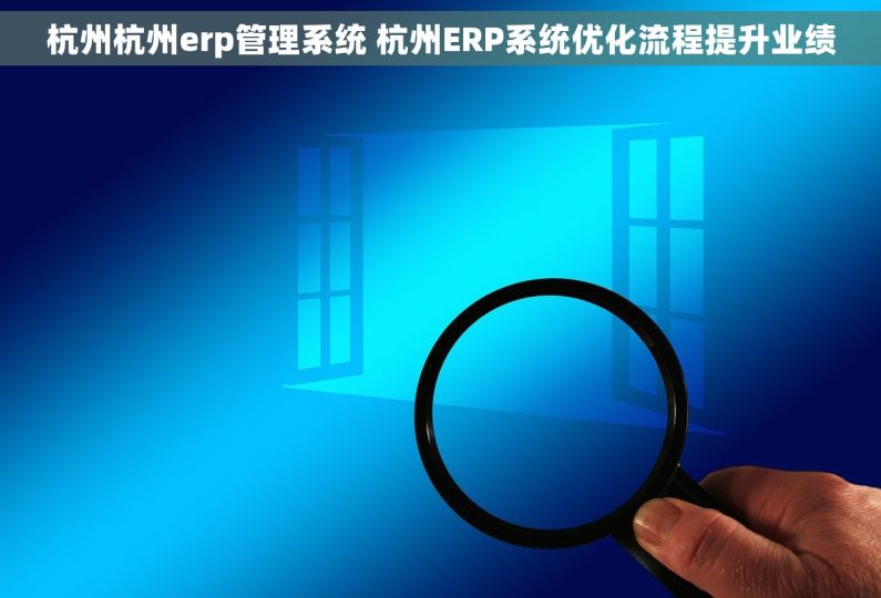 杭州杭州erp管理系统 杭州ERP系统优化流程提升业绩
