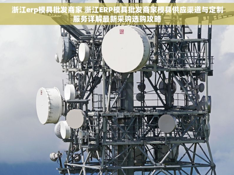 浙江erp模具批发商家 浙江ERP模具批发商家模具供应渠道与定制服务详解最新采购选购攻略