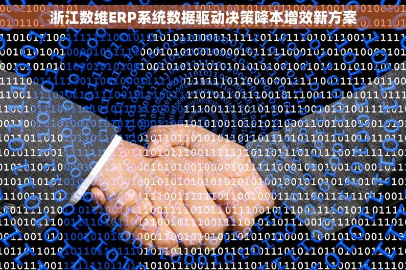 浙江数维ERP系统数据驱动决策降本增效新方案