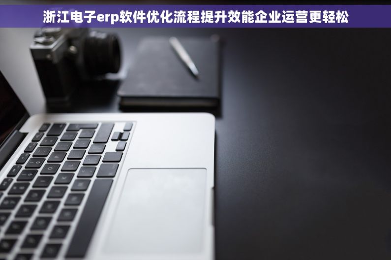 浙江电子erp软件优化流程提升效能企业运营更轻松