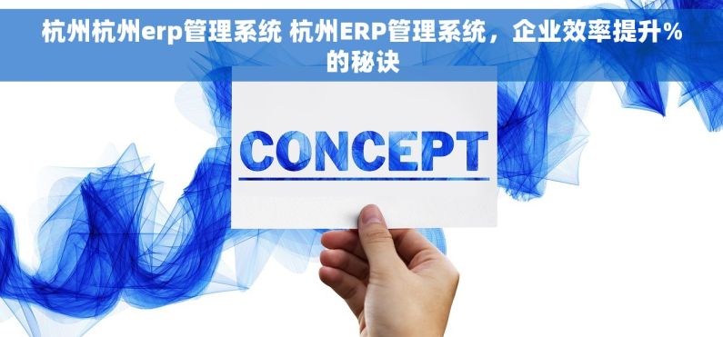 杭州杭州erp管理系统 杭州ERP管理系统，企业效率提升%的秘诀