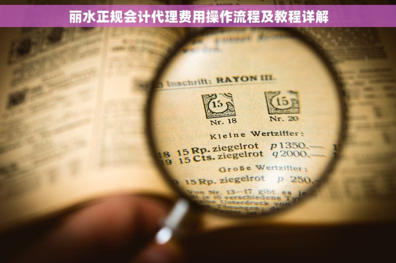 丽水正规会计代理费用操作流程及教程详解