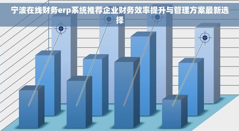 宁波在线财务erp系统推荐企业财务效率提升与管理方案最新选择