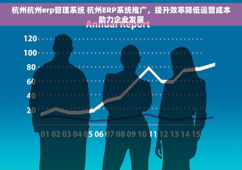杭州杭州erp管理系统 杭州ERP系统推广，提升效率降低运营成本助力企业发展