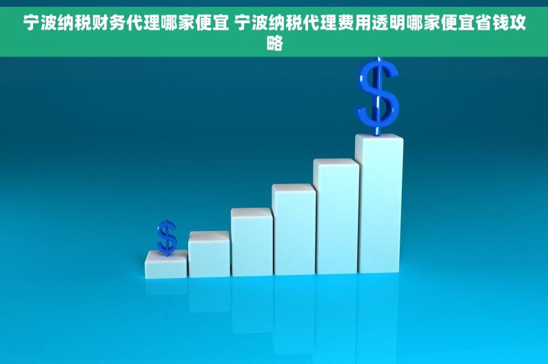 宁波纳税财务代理哪家便宜 宁波纳税代理费用透明哪家便宜省钱攻略