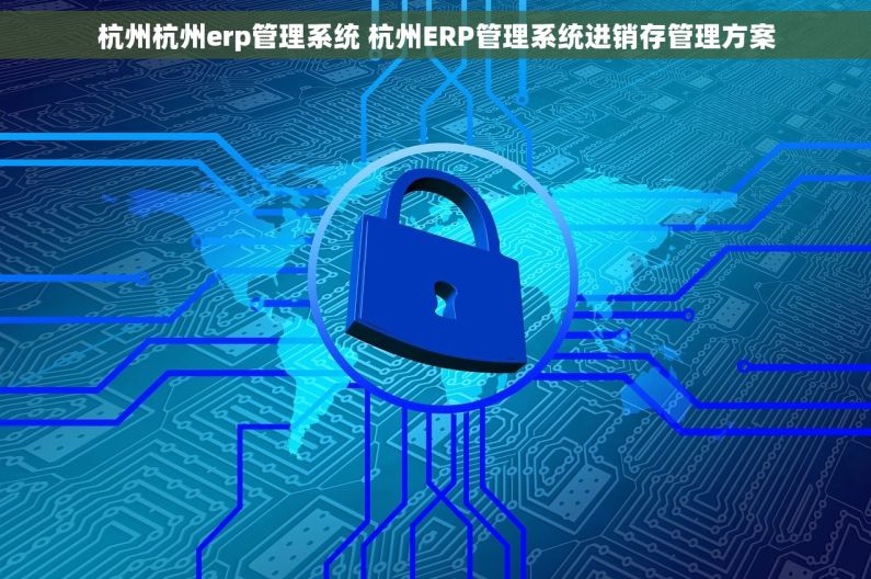 杭州杭州erp管理系统 杭州ERP管理系统进销存管理方案