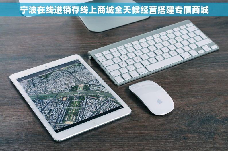 宁波在线进销存线上商城全天候经营搭建专属商城