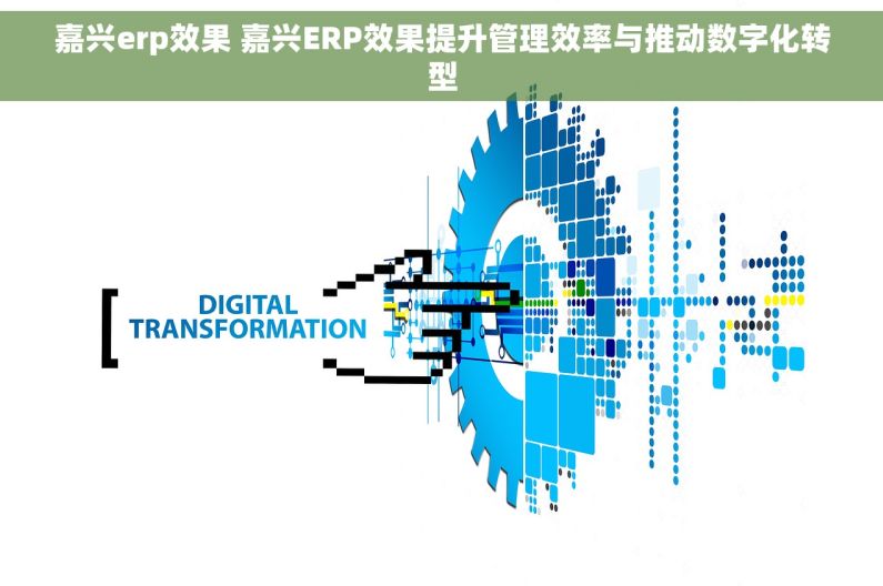 嘉兴erp效果 嘉兴ERP效果提升管理效率与推动数字化转型