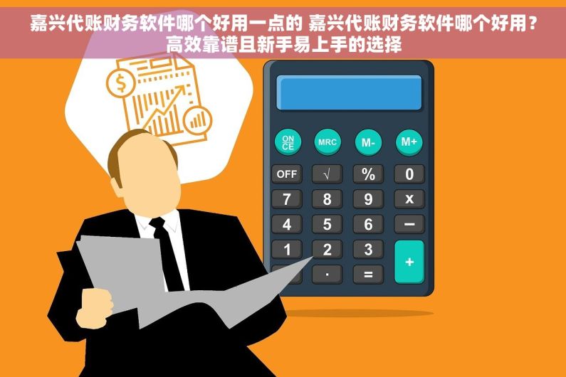 嘉兴代账财务软件哪个好用一点的 嘉兴代账财务软件哪个好用？高效靠谱且新手易上手的选择