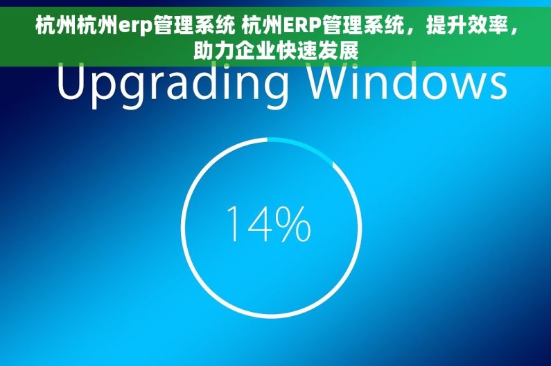 杭州杭州erp管理系统 杭州ERP管理系统，提升效率，助力企业快速发展
