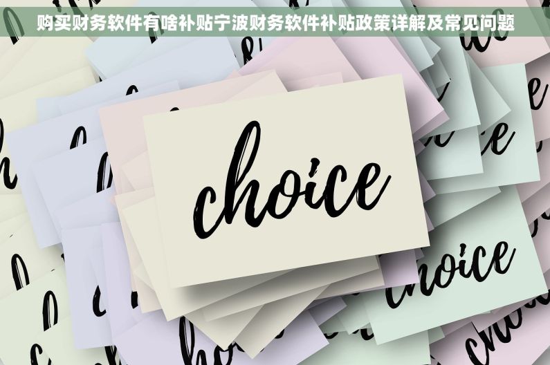 购买财务软件有啥补贴宁波财务软件补贴政策详解及常见问题