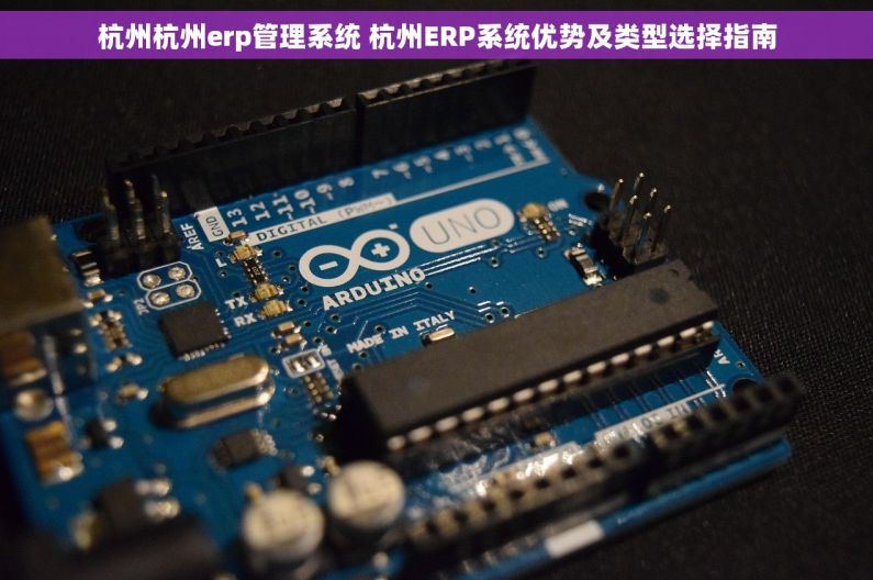 杭州杭州erp管理系统 杭州ERP系统优势及类型选择指南