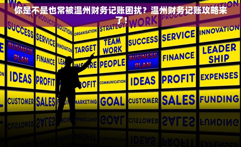 你是不是也常被温州财务记账困扰？温州财务记账攻略来了！