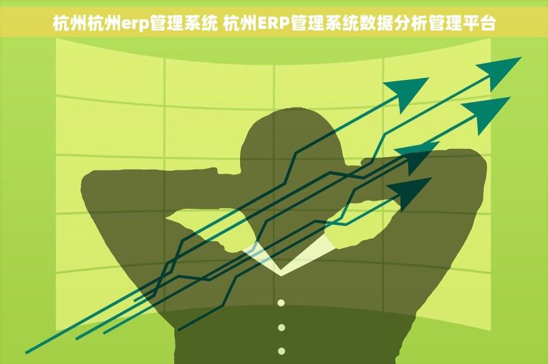 杭州杭州erp管理系统 杭州ERP管理系统数据分析管理平台