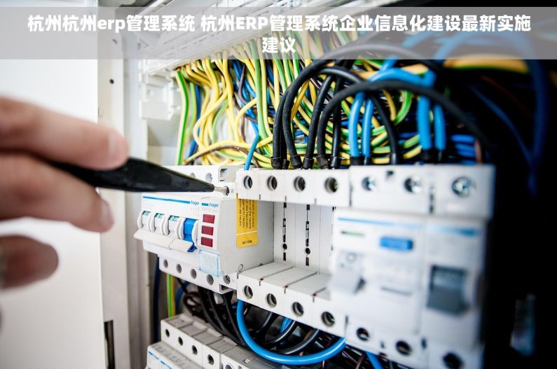 杭州杭州erp管理系统 杭州ERP管理系统企业信息化建设最新实施建议