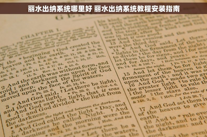 丽水出纳系统哪里好 丽水出纳系统教程安装指南