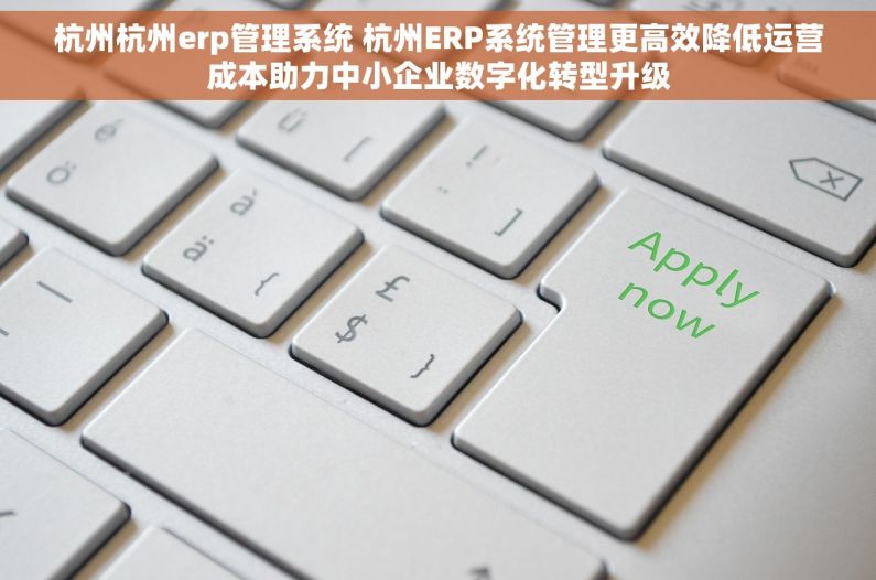 杭州杭州erp管理系统 杭州ERP系统管理更高效降低运营成本助力中小企业数字化转型升级