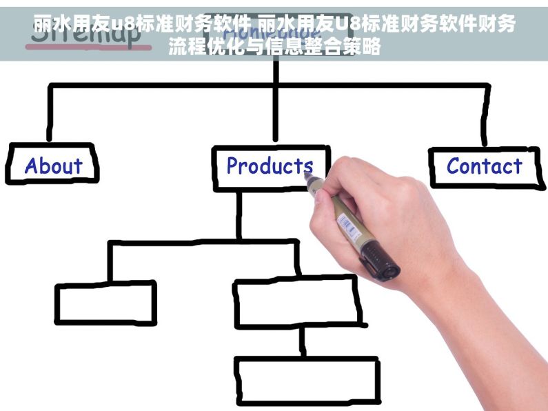 丽水用友u8标准财务软件 丽水用友U8标准财务软件财务流程优化与信息整合策略