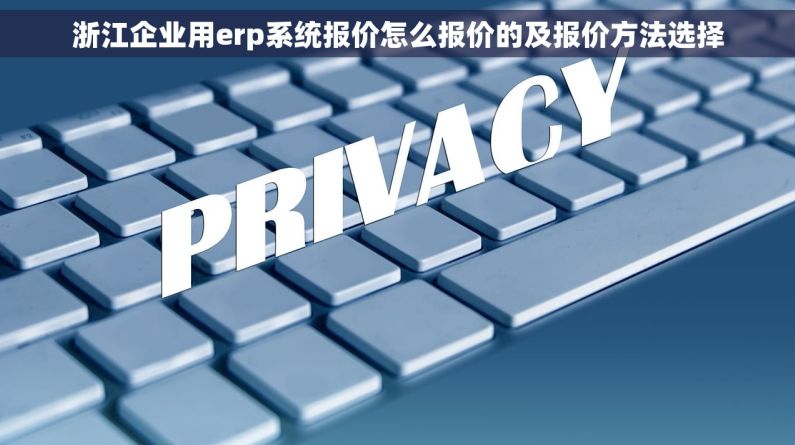 浙江企业用erp系统报价怎么报价的及报价方法选择