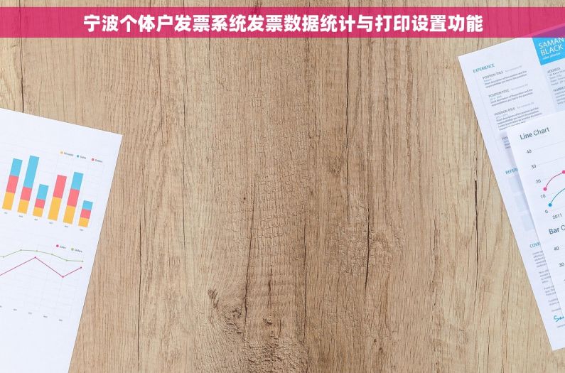宁波个体户发票系统发票数据统计与打印设置功能