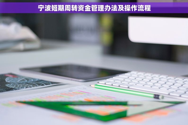 宁波短期周转资金管理办法及操作流程