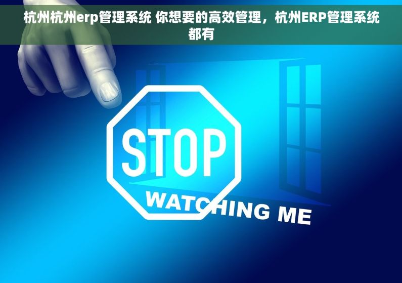 杭州杭州erp管理系统 你想要的高效管理，杭州ERP管理系统都有