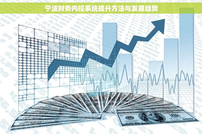 宁波财务内控系统提升方法与发展趋势