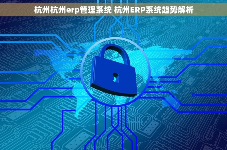 杭州杭州erp管理系统 杭州ERP系统趋势解析