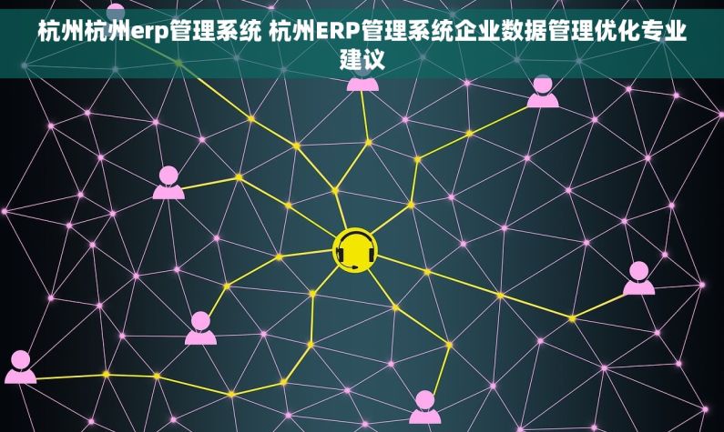 杭州杭州erp管理系统 杭州ERP管理系统企业数据管理优化专业建议