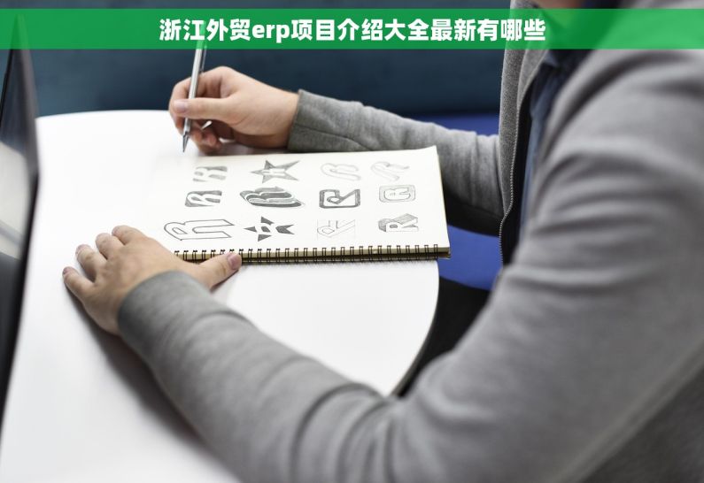 浙江外贸erp项目介绍大全最新有哪些