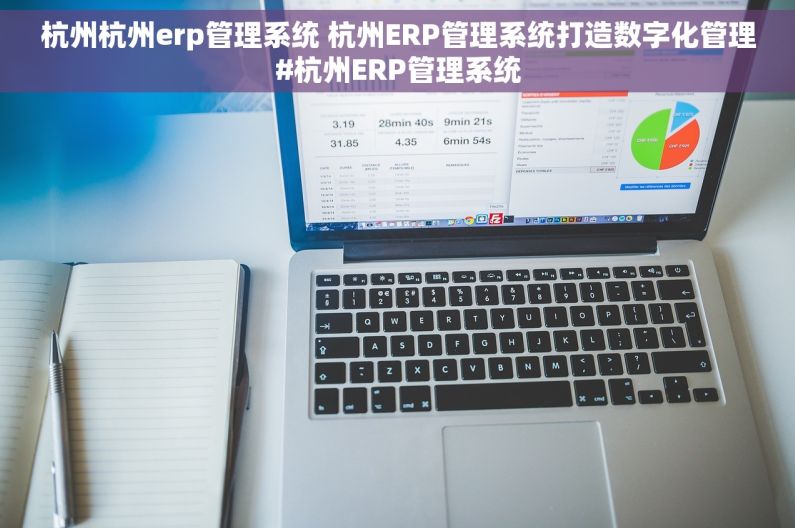 杭州杭州erp管理系统 杭州ERP管理系统打造数字化管理#杭州ERP管理系统
