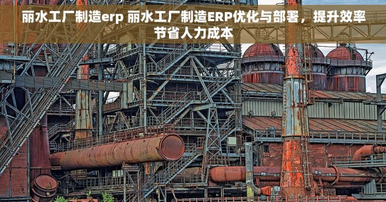 丽水工厂制造erp 丽水工厂制造ERP优化与部署，提升效率节省人力成本
