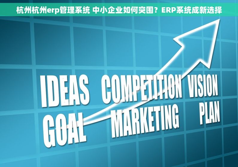 杭州杭州erp管理系统 中小企业如何突围？ERP系统成新选择