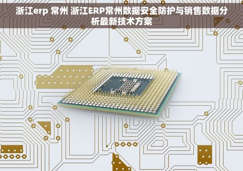浙江erp 常州 浙江ERP常州数据安全防护与销售数据分析最新技术方案