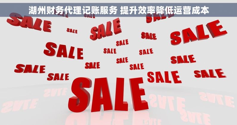 湖州财务代理记账服务 提升效率降低运营成本