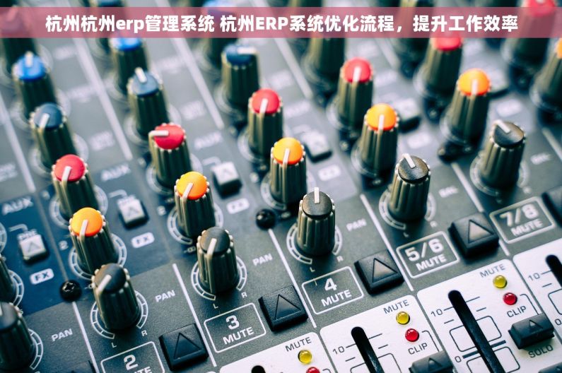 杭州杭州erp管理系统 杭州ERP系统优化流程，提升工作效率