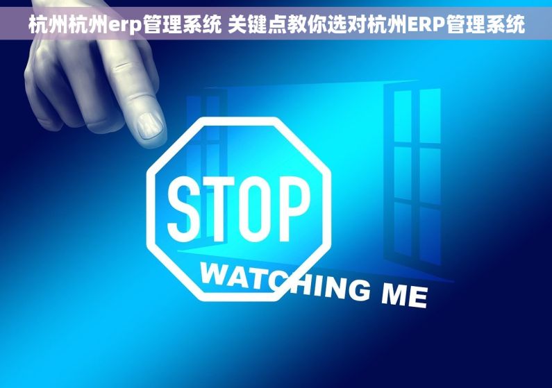 杭州杭州erp管理系统 关键点教你选对杭州ERP管理系统