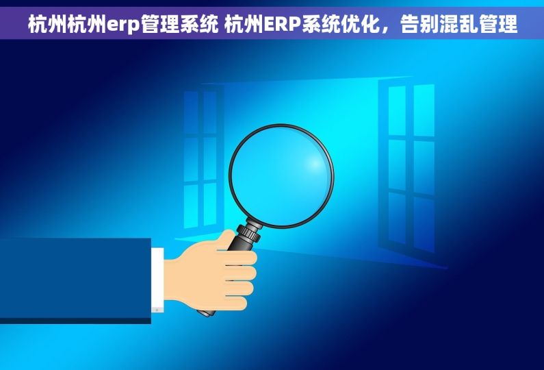 杭州杭州erp管理系统 杭州ERP系统优化，告别混乱管理