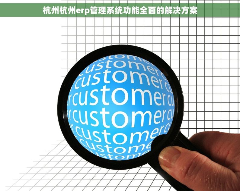 杭州杭州erp管理系统功能全面的解决方案