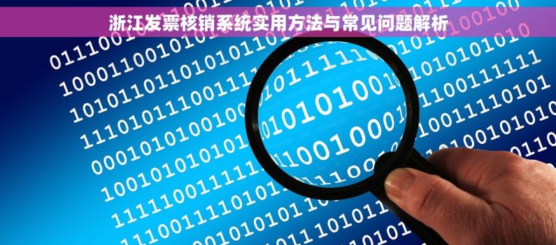 浙江发票核销系统实用方法与常见问题解析
