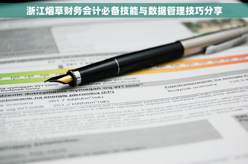 浙江烟草财务会计必备技能与数据管理技巧分享