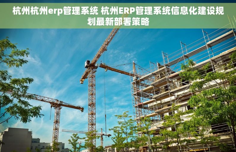 杭州杭州erp管理系统 杭州ERP管理系统信息化建设规划最新部署策略