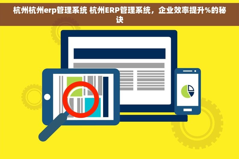 杭州杭州erp管理系统 杭州ERP管理系统，企业效率提升%的秘诀