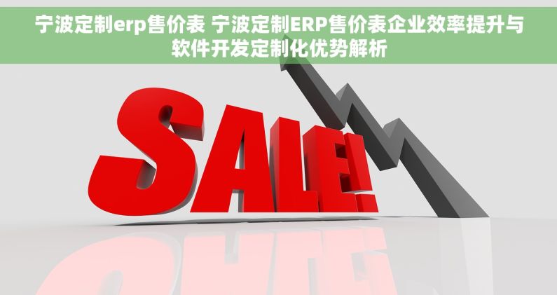 宁波定制erp售价表 宁波定制ERP售价表企业效率提升与软件开发定制化优势解析