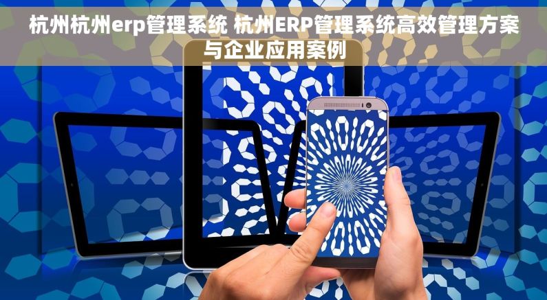 杭州杭州erp管理系统 杭州ERP管理系统高效管理方案与企业应用案例