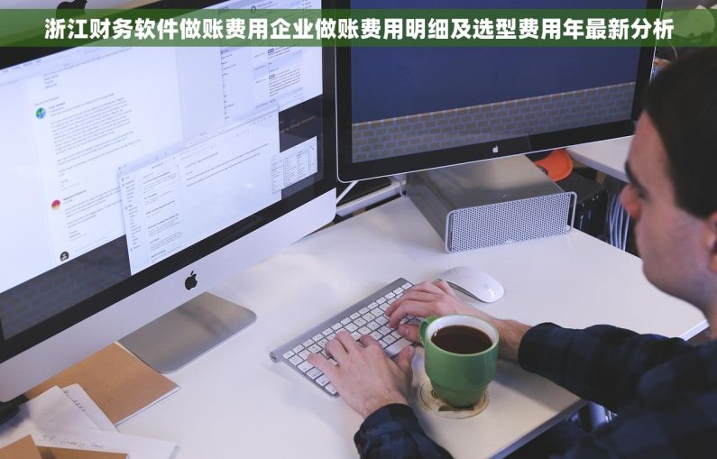 浙江财务软件做账费用企业做账费用明细及选型费用年最新分析