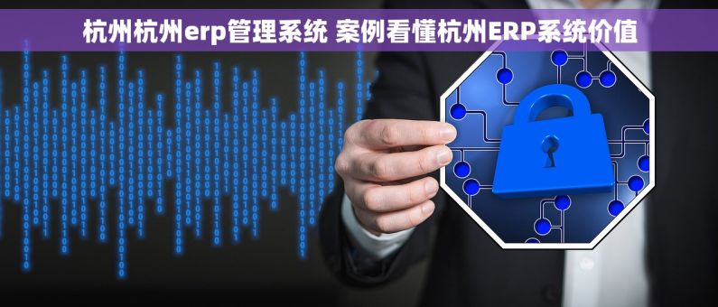 杭州杭州erp管理系统 案例看懂杭州ERP系统价值